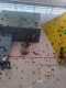 IMG-20241220-WA0033