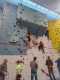 IMG-20241220-WA0044
