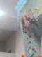 IMG-20241220-WA0052
