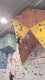 IMG-20241220-WA0053