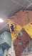 IMG-20241220-WA0056