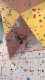 IMG-20241220-WA0057