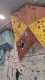 IMG-20241220-WA0058