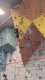 IMG-20241220-WA0059