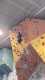 IMG-20241220-WA0060