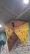 IMG-20241220-WA0062