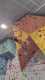 IMG-20241220-WA0065
