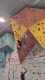IMG-20241220-WA0066