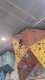 IMG-20241220-WA0067