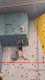 IMG-20241220-WA0073