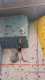 IMG-20241220-WA0077