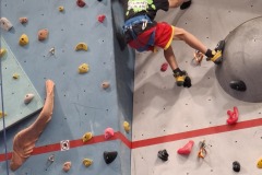 344263a4-5cde-4749-acf3-1470e24a37a5-copied-media2