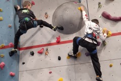 4a6d6efe-143f-46c8-b3e7-0ea5a454d24a-copied-media2