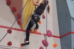 91aa72ab-d22f-4e07-bcf0-87bcaf5113b2-copied-media2