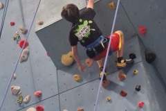 f09b584e-5c68-499a-aee4-dc0e93290b6e-copied-media2