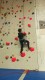 IMG_20250202_084648_616