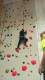 IMG_20250202_084744_694