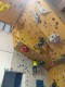 IMG_20250202_093429_129