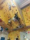 IMG_20250202_093836_800