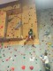 IMG_20250202_102135_688