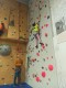 IMG_20250202_105528_436
