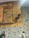 IMG_20250202_112503_508