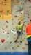 IMG_20250202_152347_203