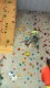 IMG_20250202_152415_980