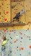 IMG_20250202_160414_315