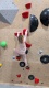 PXL_20251108_093334137