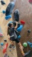 PXL_20251108_130401921.MP_