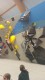 IMG_20250119_090656_284