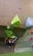IMG-20231125-WA0007