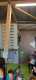 IMG-20231125-WA0010