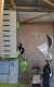IMG-20231125-WA0011