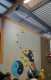 IMG-20231125-WA0013