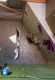 IMG-20231125-WA0014