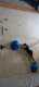 IMG-20231125-WA0016