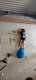 IMG-20231125-WA0017