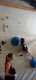 IMG-20231125-WA0018