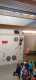 IMG-20231125-WA0019