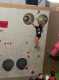 IMG-20231125-WA0020