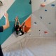 IMG20231202145021