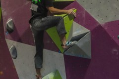 IMG_0508