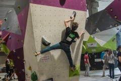 IMG_0558