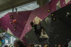 IMG_0564