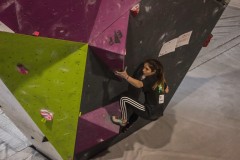 IMG_0799
