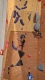 VideoCapture_20250602-165515