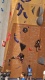 VideoCapture_20250602-165559