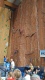 VideoCapture_20250602-171910
